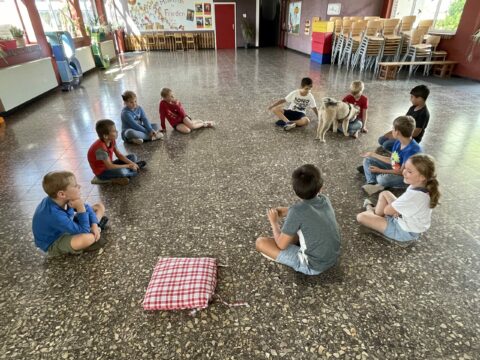 Schulbegleithunde – tiergestützte Pädagogik – Gemeinschaftsgrundschule
